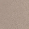 Desert Velvet