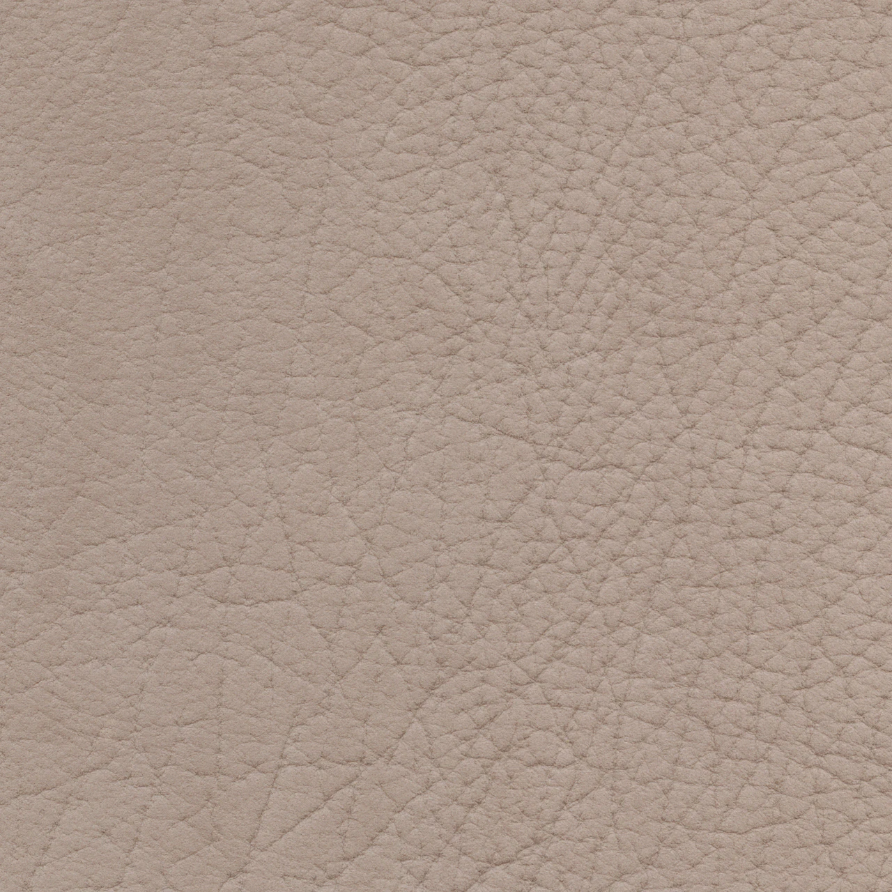 Desert Velvet