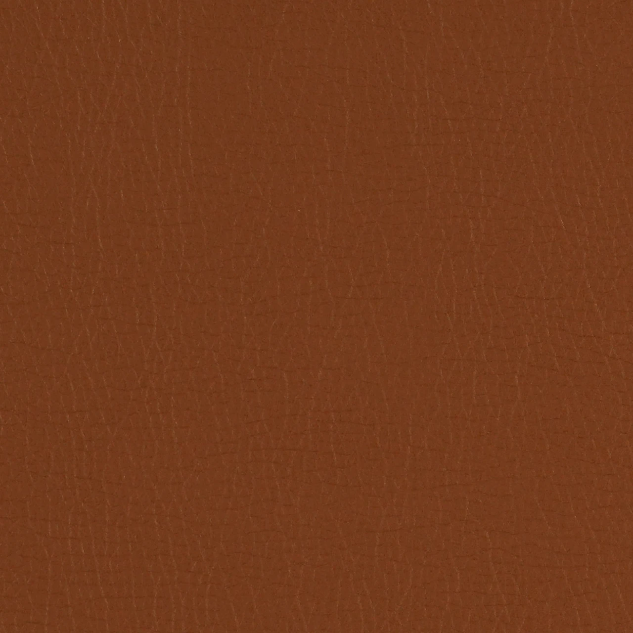 Chestnut