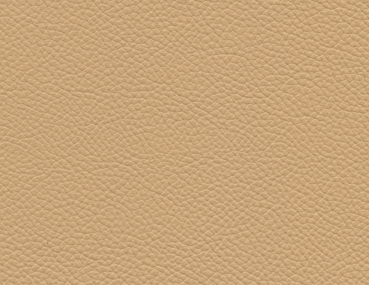 Butterscotch