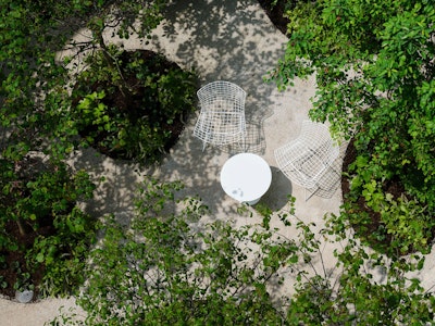 An aerial view of the Courtyard at 1144 West Fulton filled with green foliage and two white Knoll Bertoia Chairs