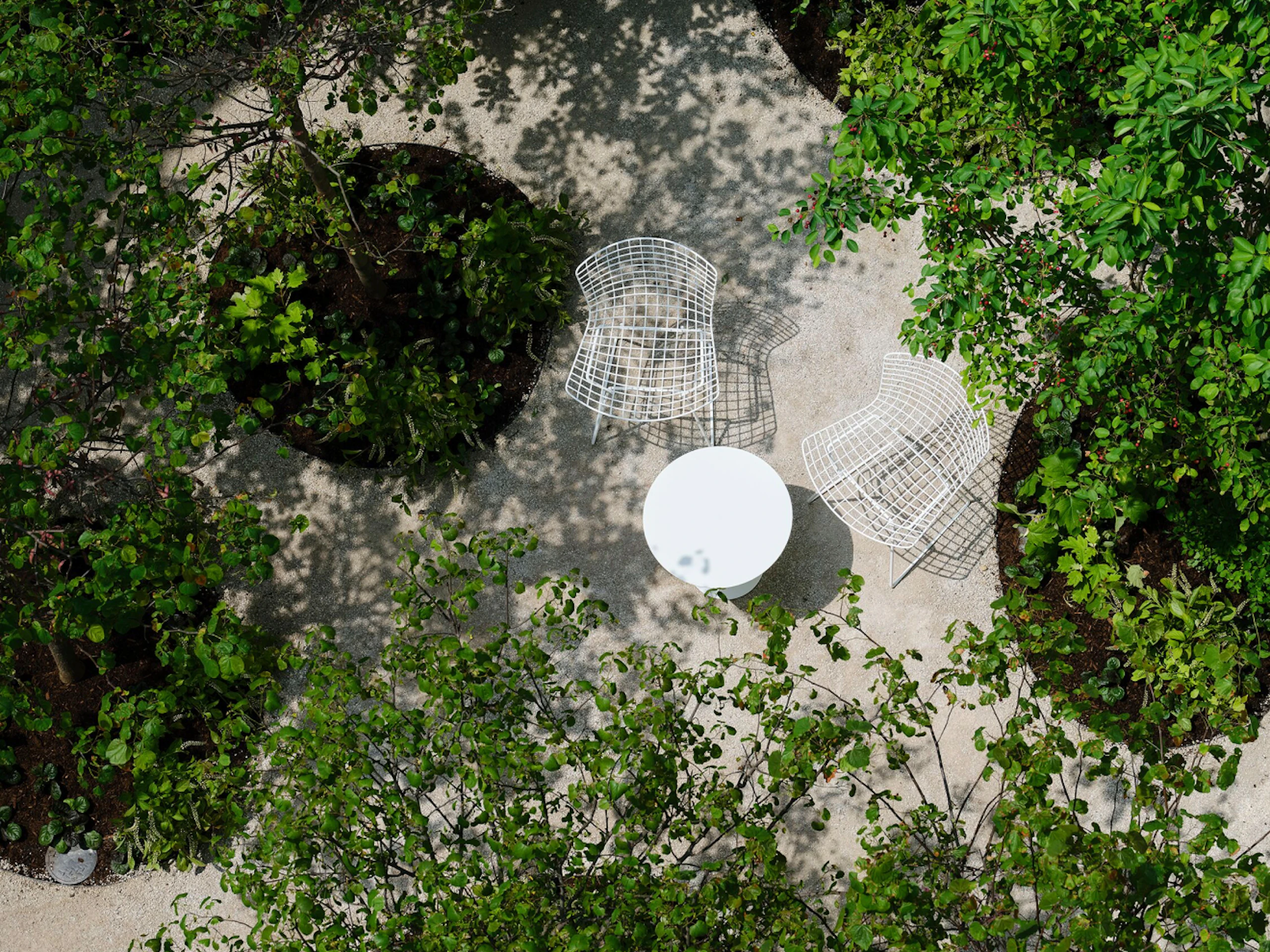 An aerial view of the Courtyard at 1144 West Fulton filled with green foliage and two white Knoll Bertoia Chairs