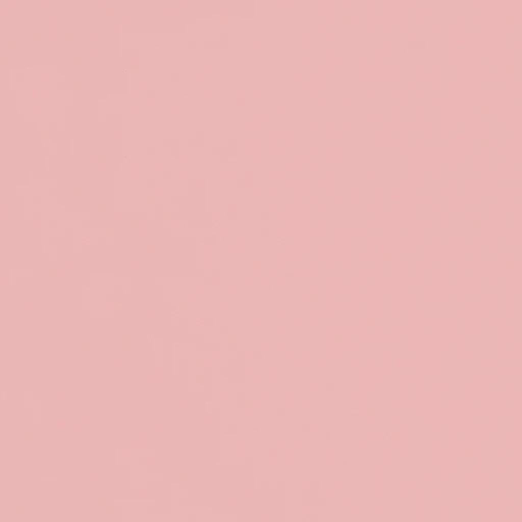 Powder Pink - HM x HAY