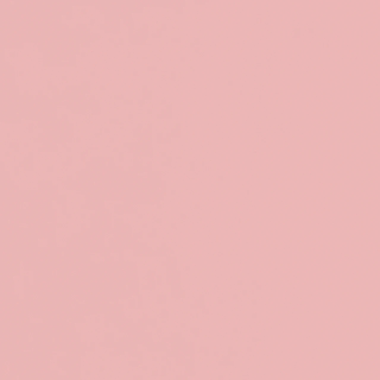 Powder Pink - HM x HAY