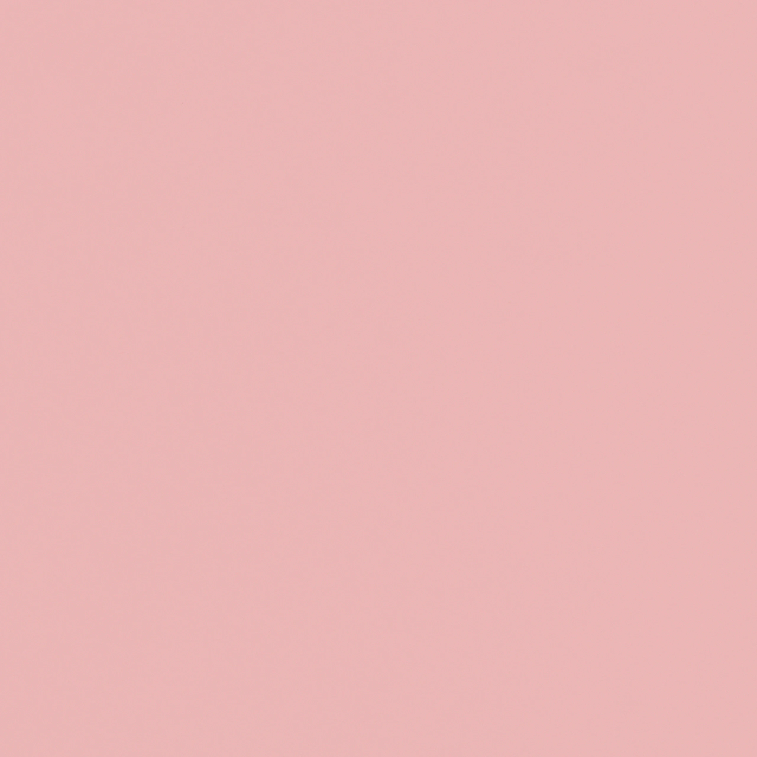 Powder Pink - HM x HAY
