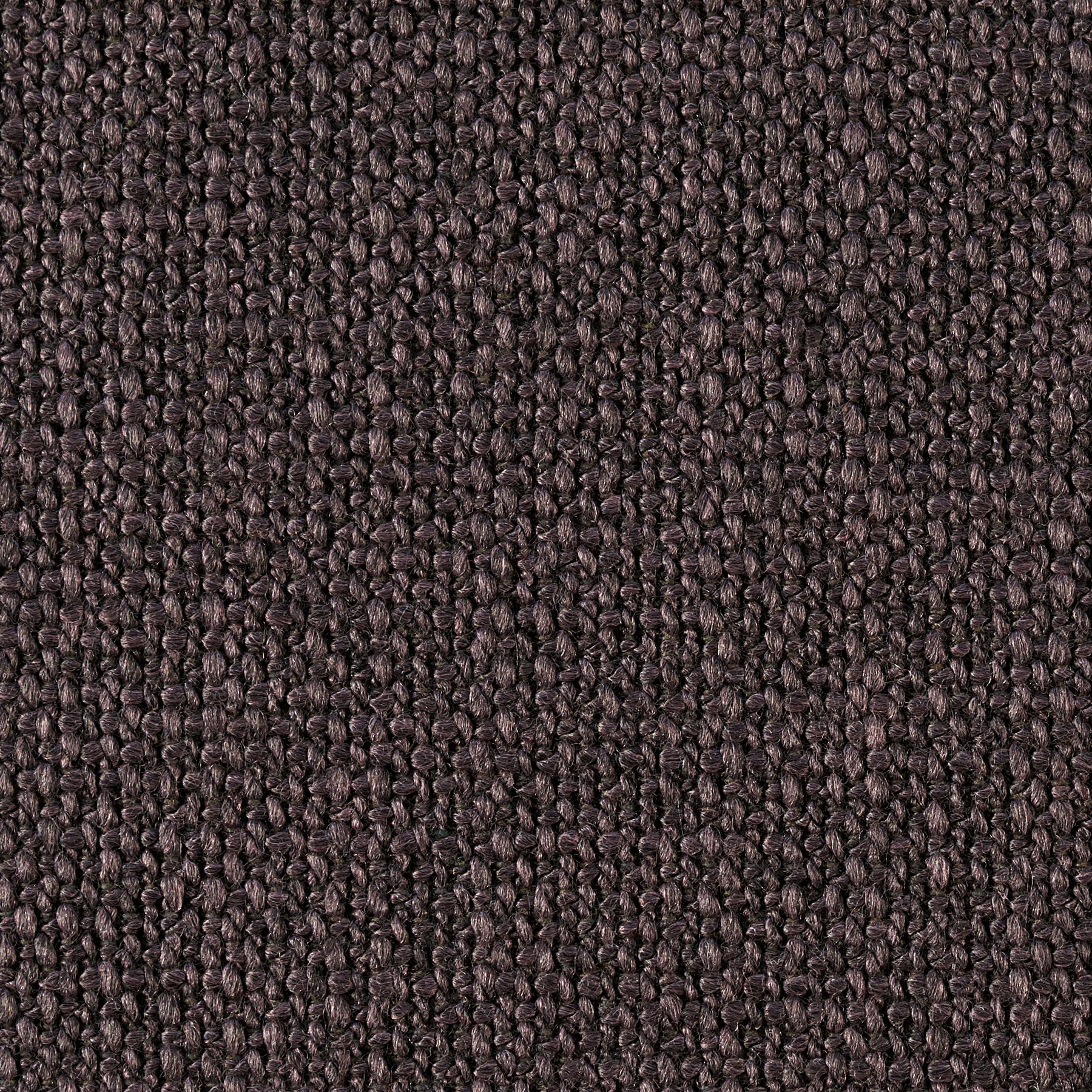 Chestnut Brown, 17208