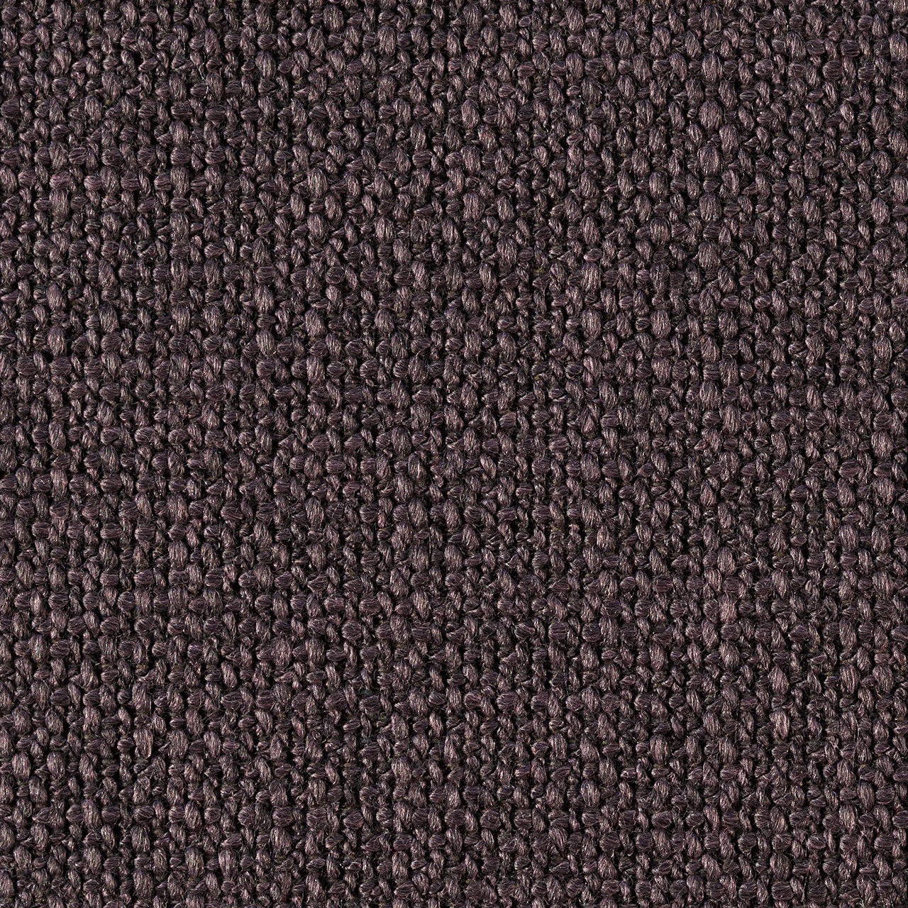Chestnut Brown