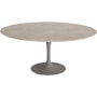 Saarinen Coffee Table Saarinen Coffee Table, Oval