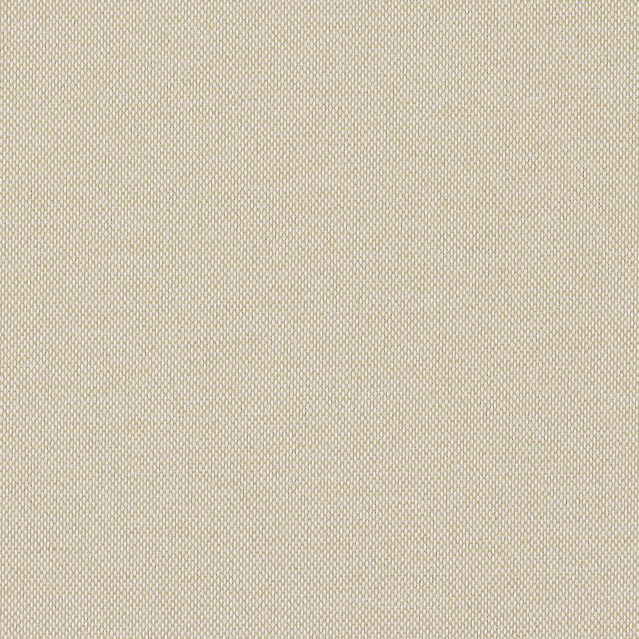Warm White