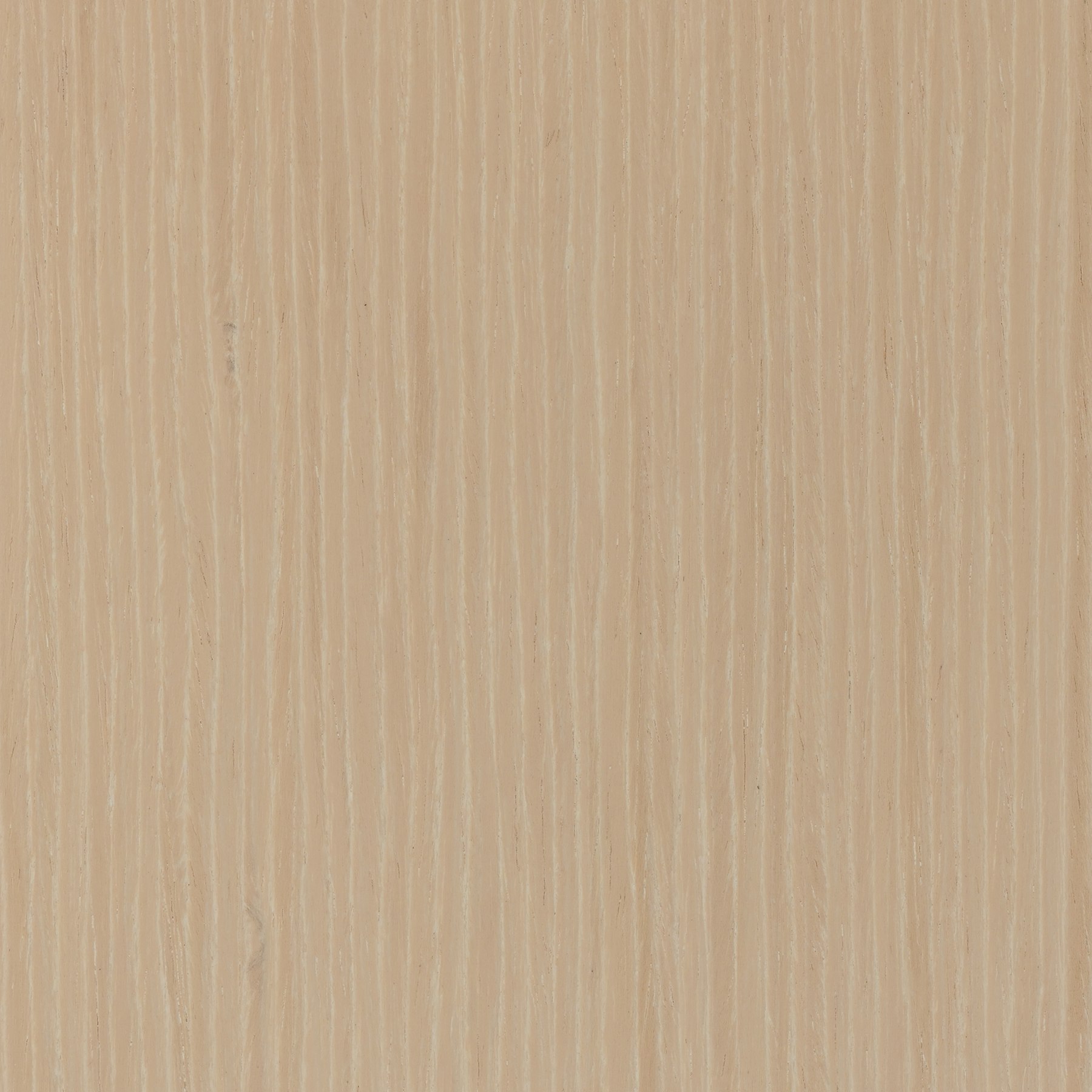 Central Palette - Veneer Vivid Oak Techwood