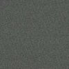 Seed
