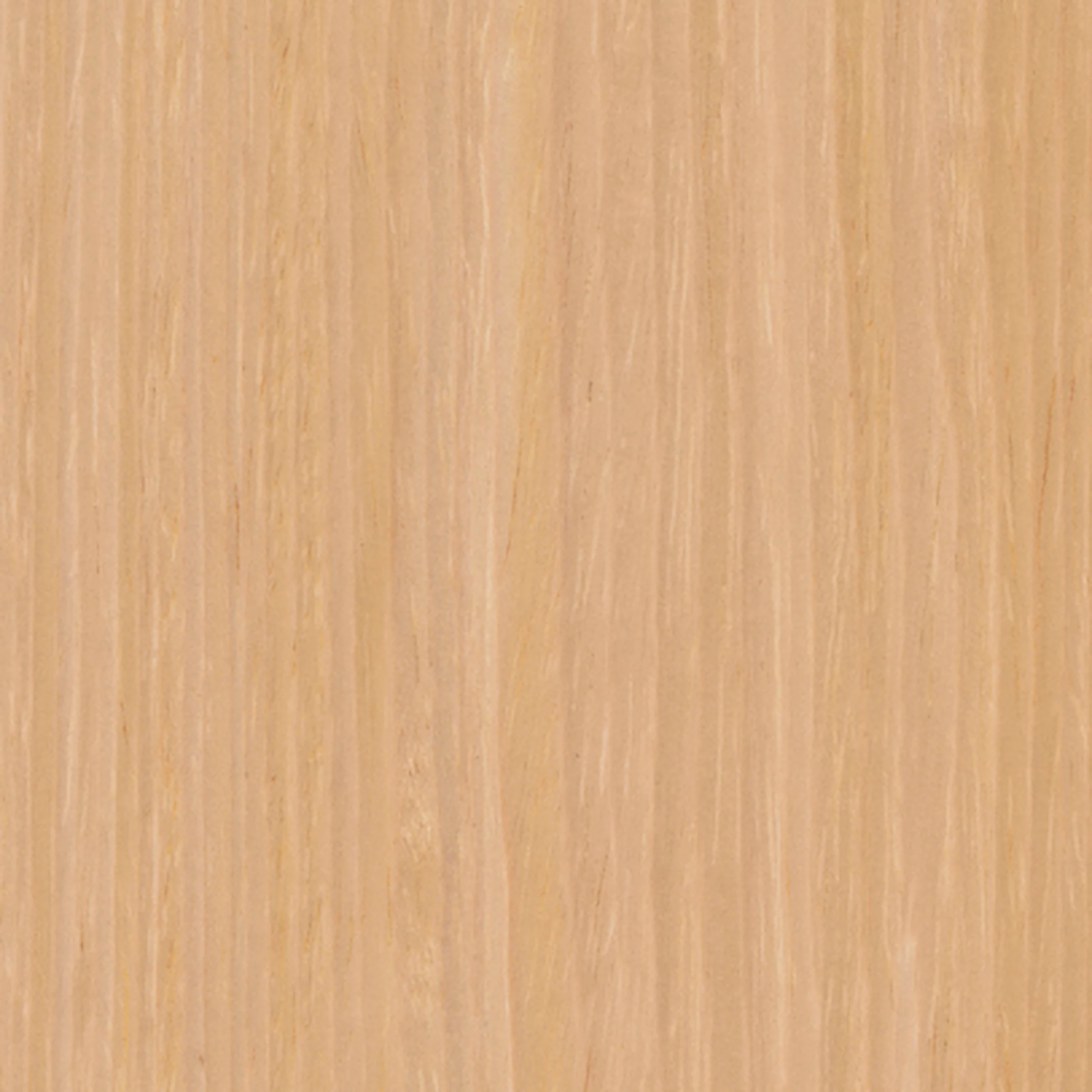 Blond Maple (V1)