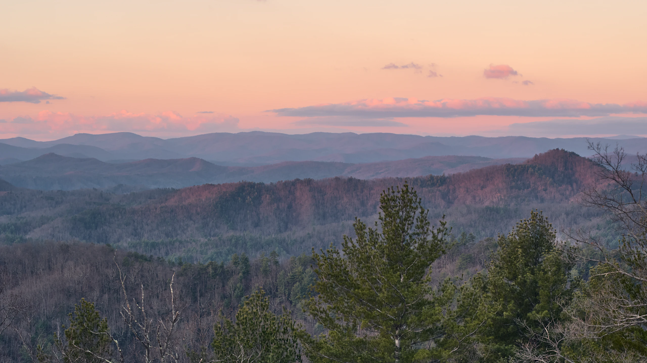 View of pine trees and mountains outside the Geiger facility