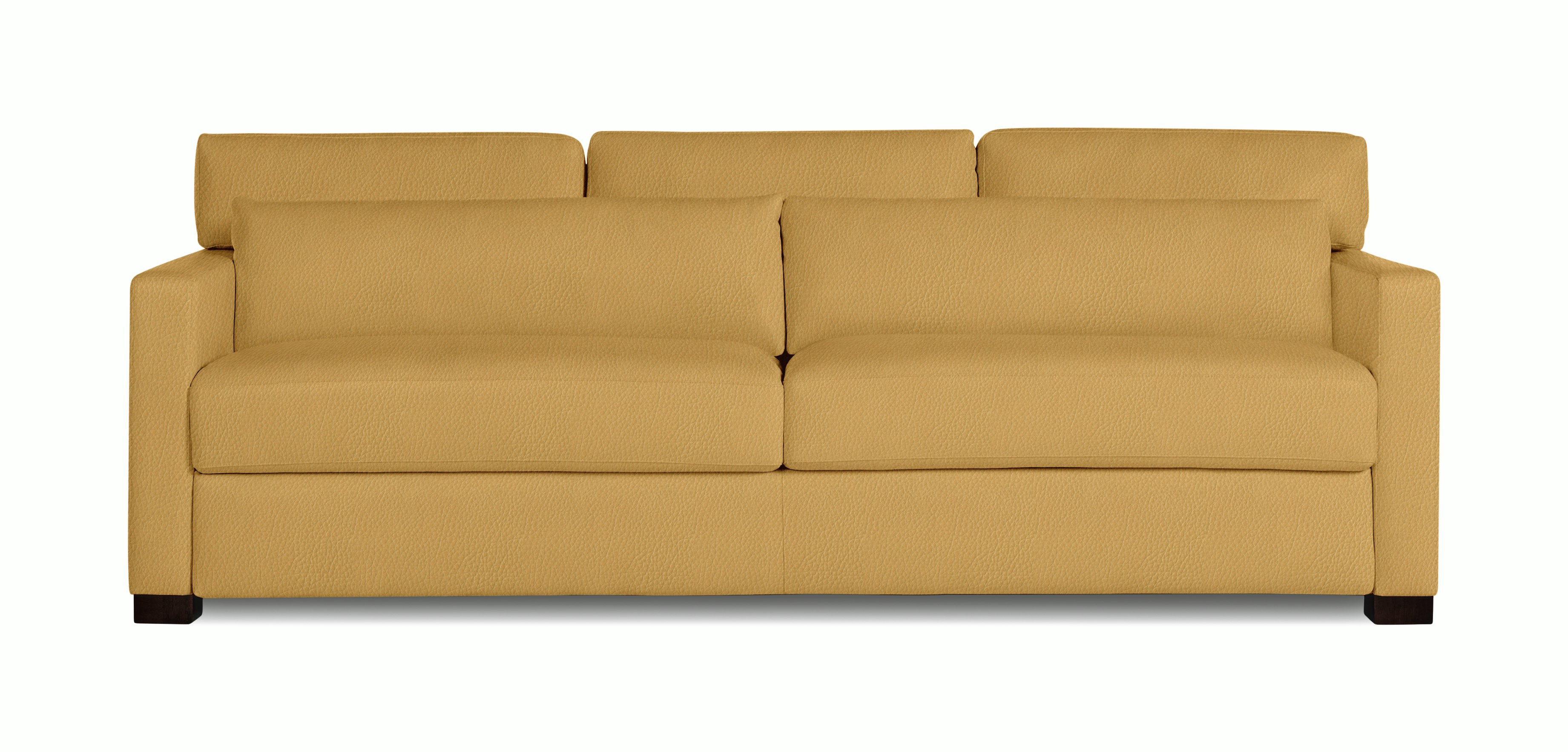 Vesper Sleeper Sofa, Leather