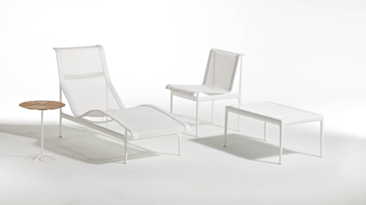 Richard Schultz 1966 and Petal Collection