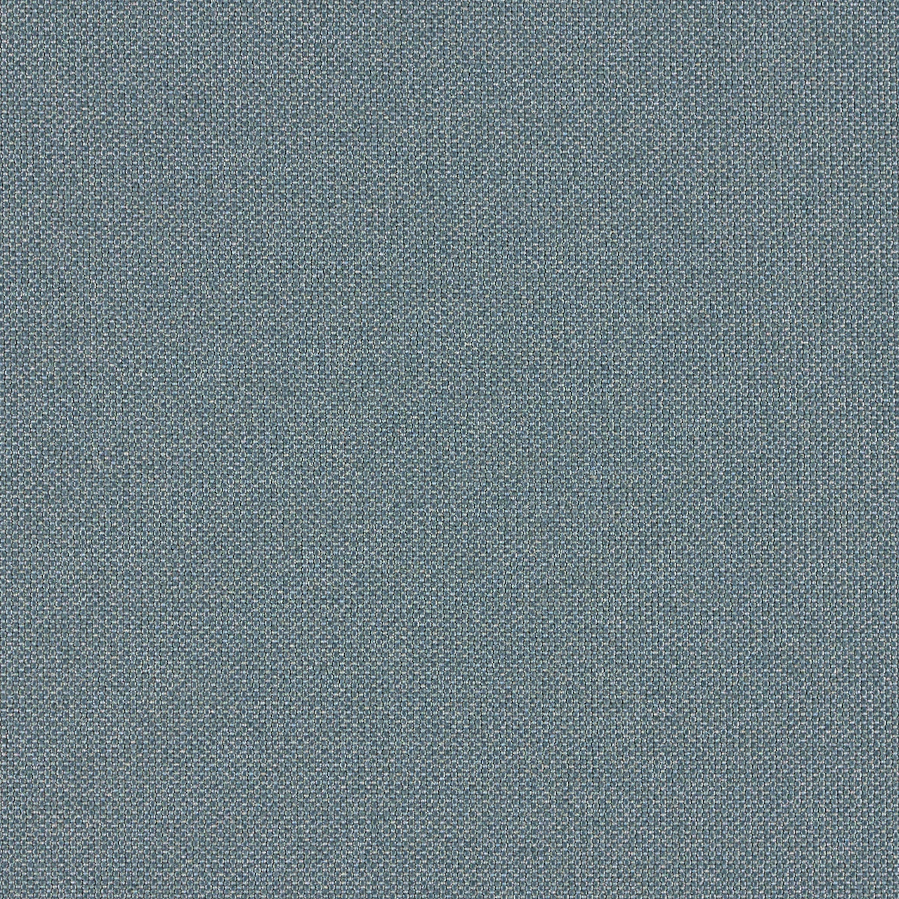 Blue Spruce