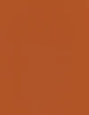 Burnt Orange