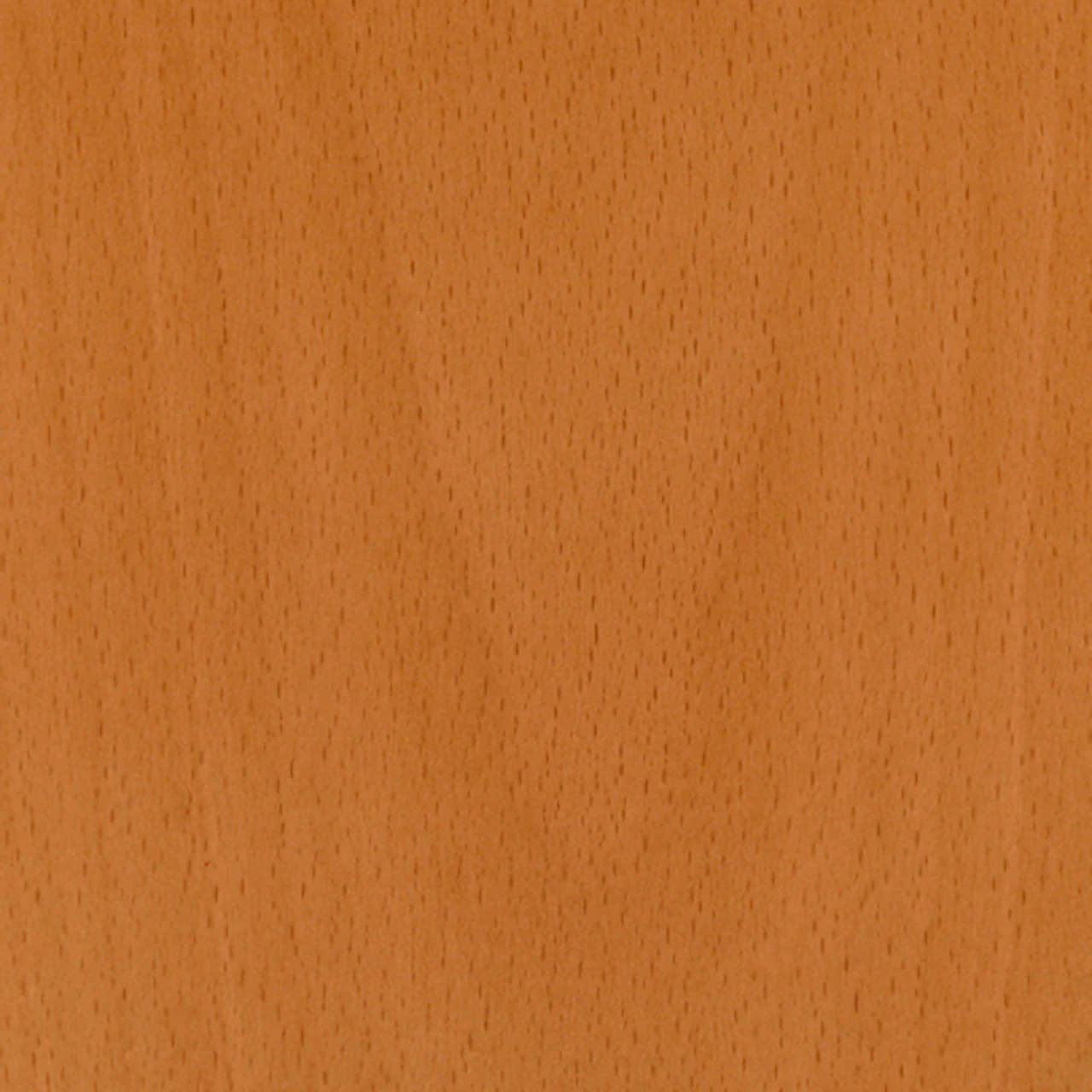 Natural Beech