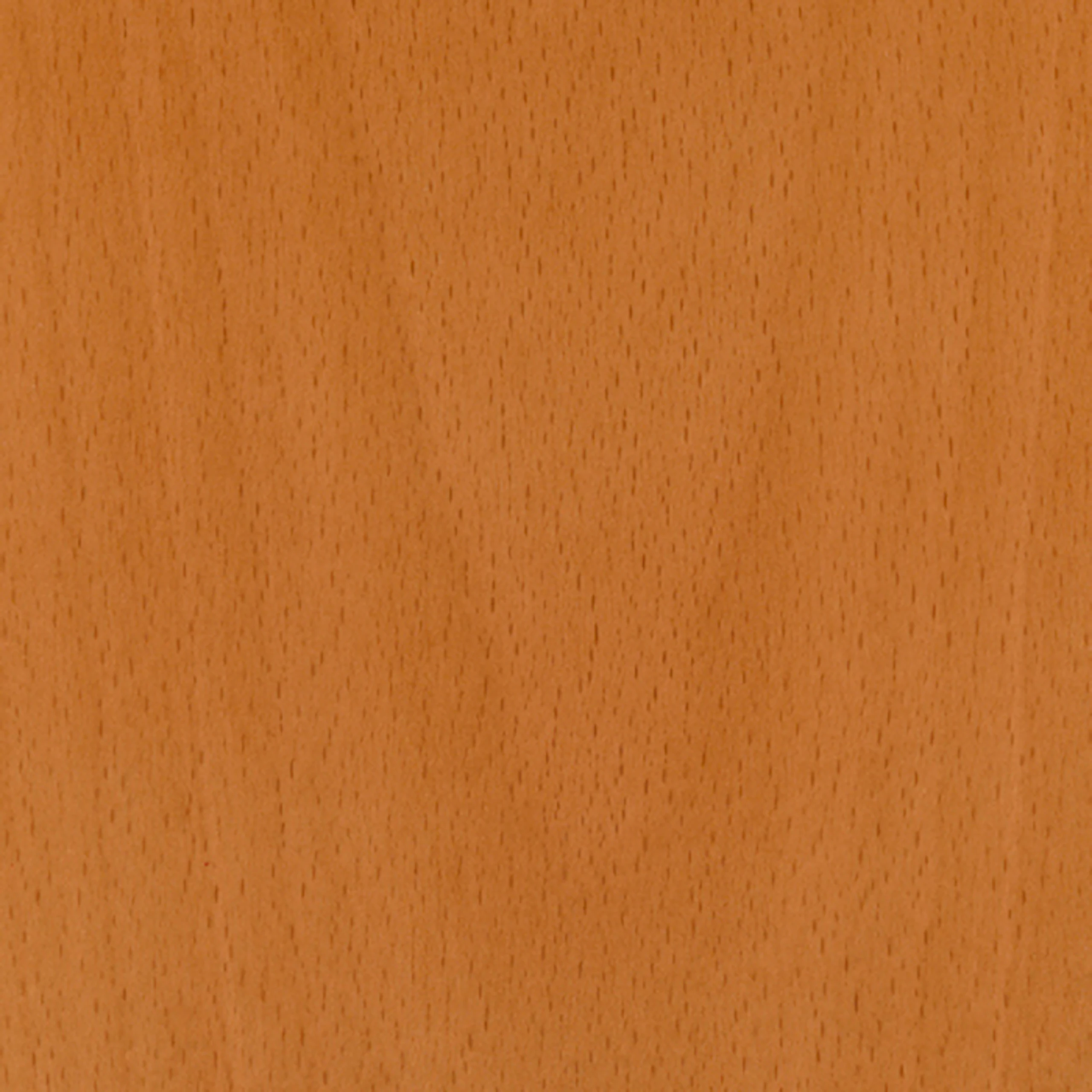 Natural Beech
