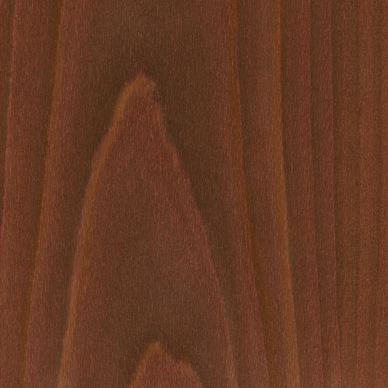 Bronze lacquered beech