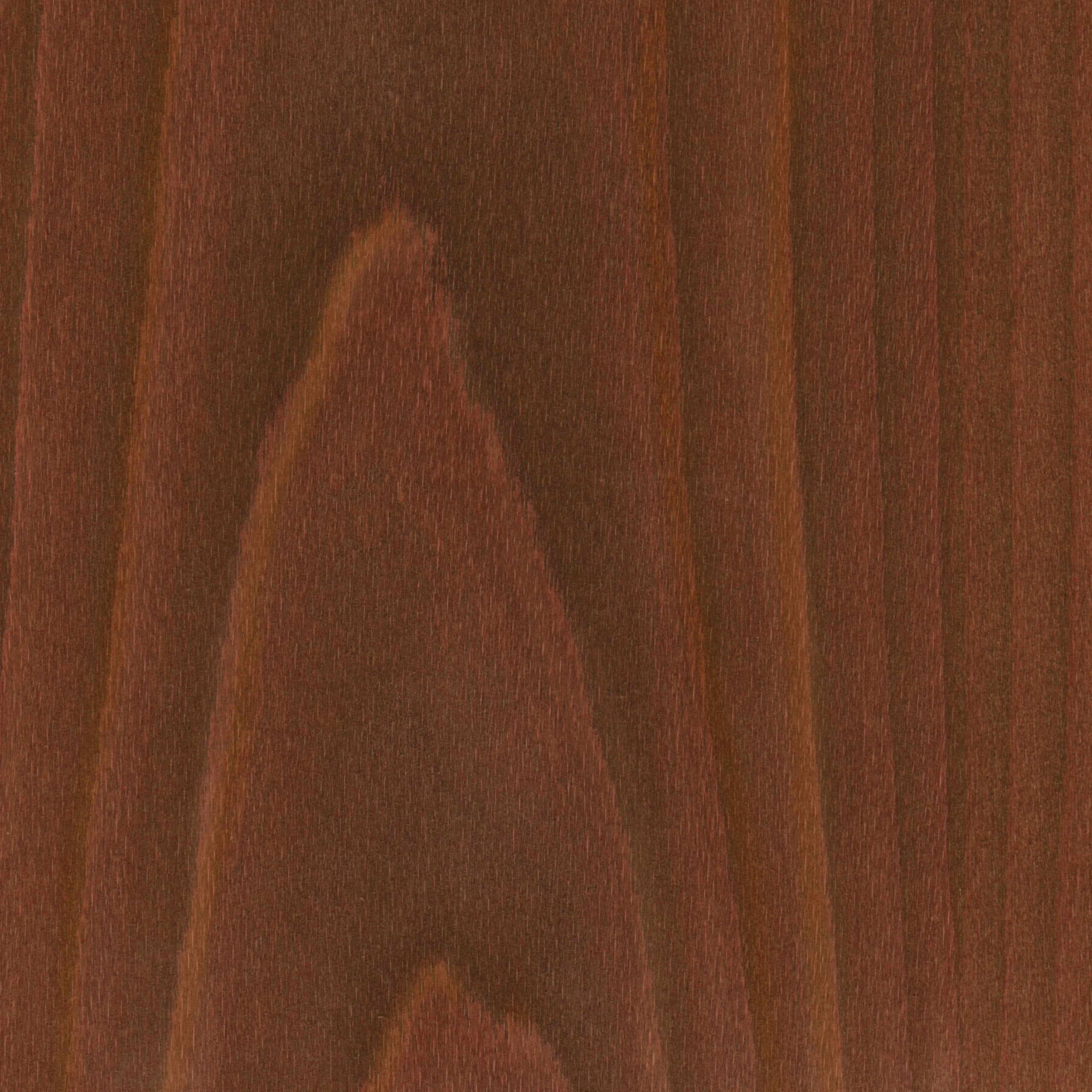 Bronze lacquered beech