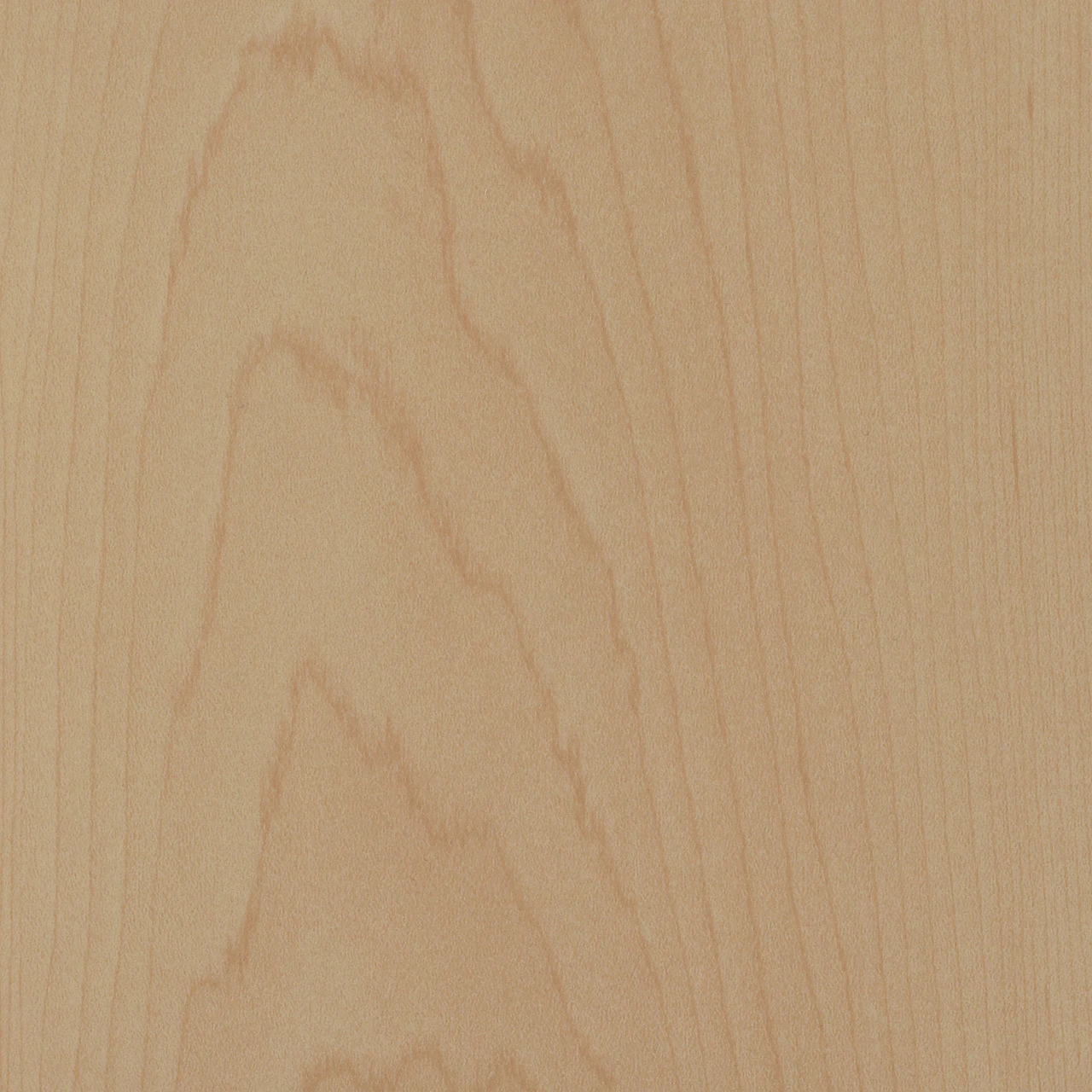 Light Maple