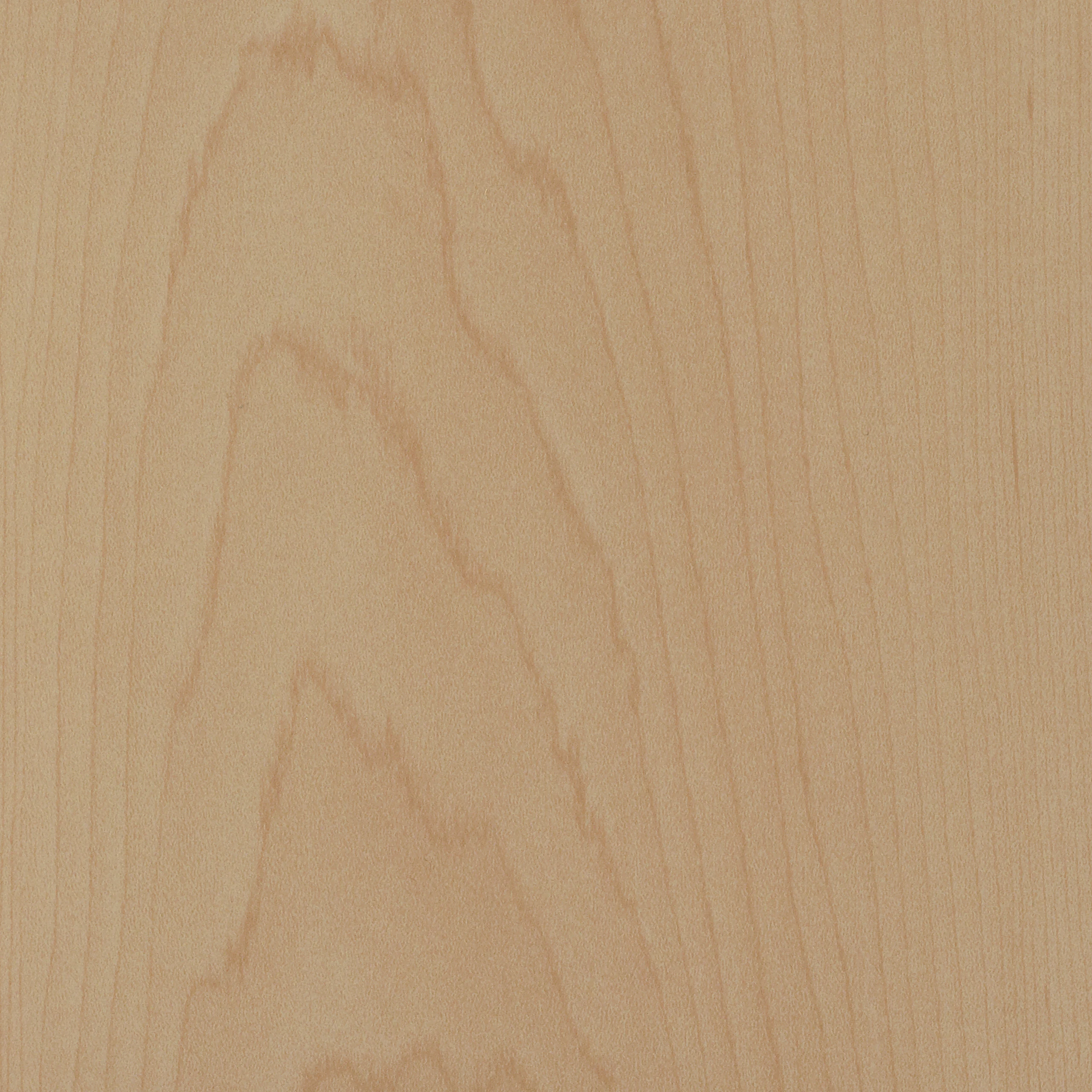 Light Maple