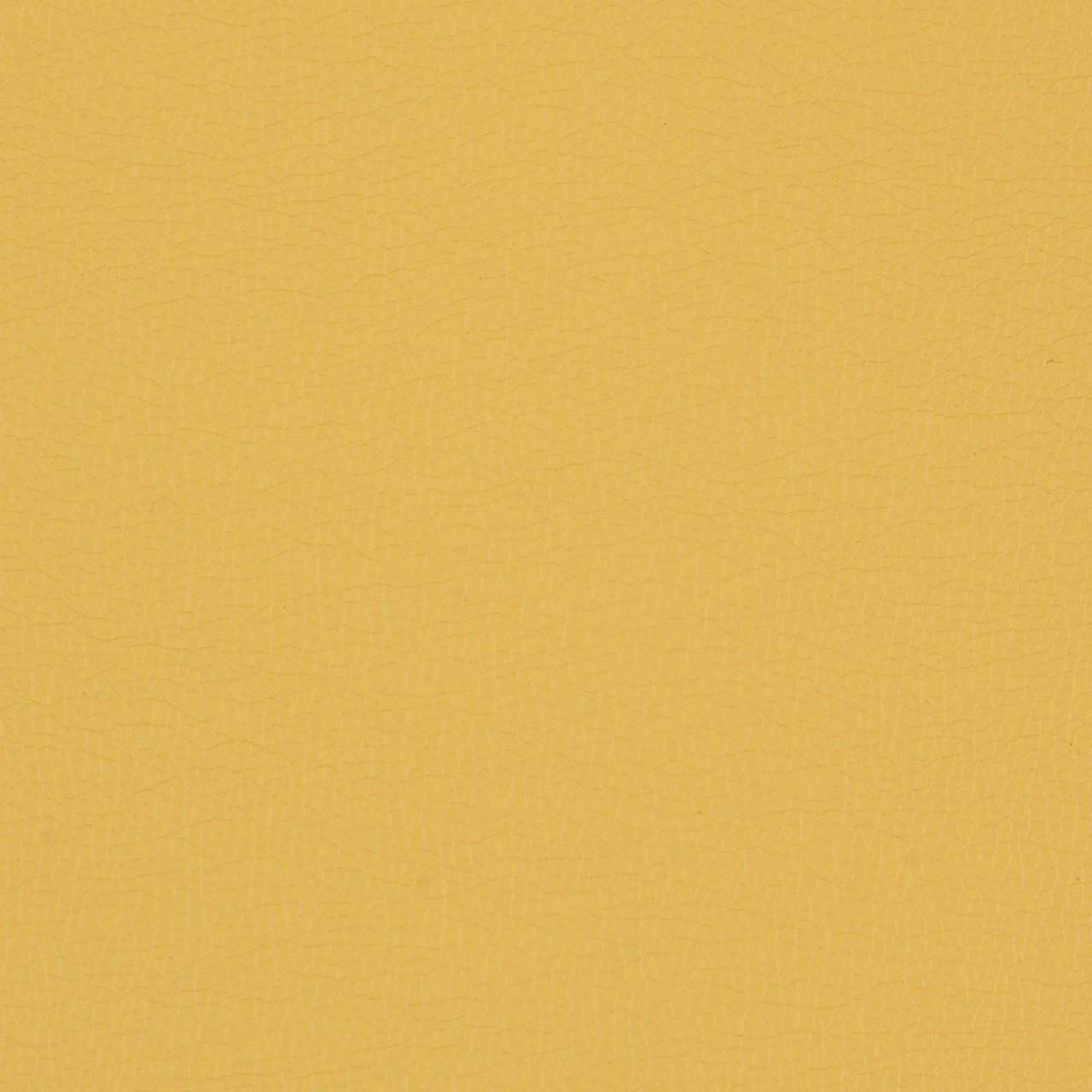 Maize
