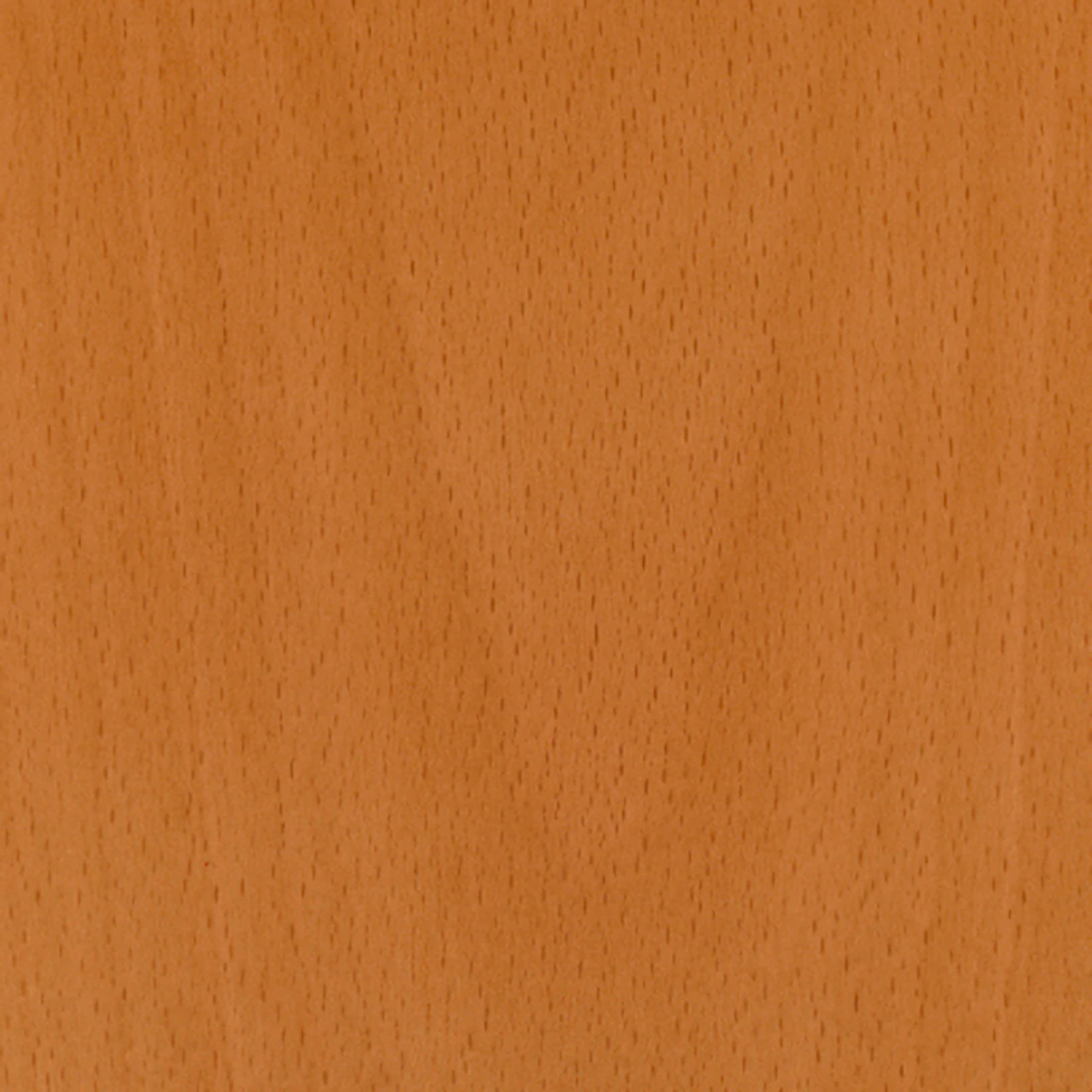 Natural Beech
