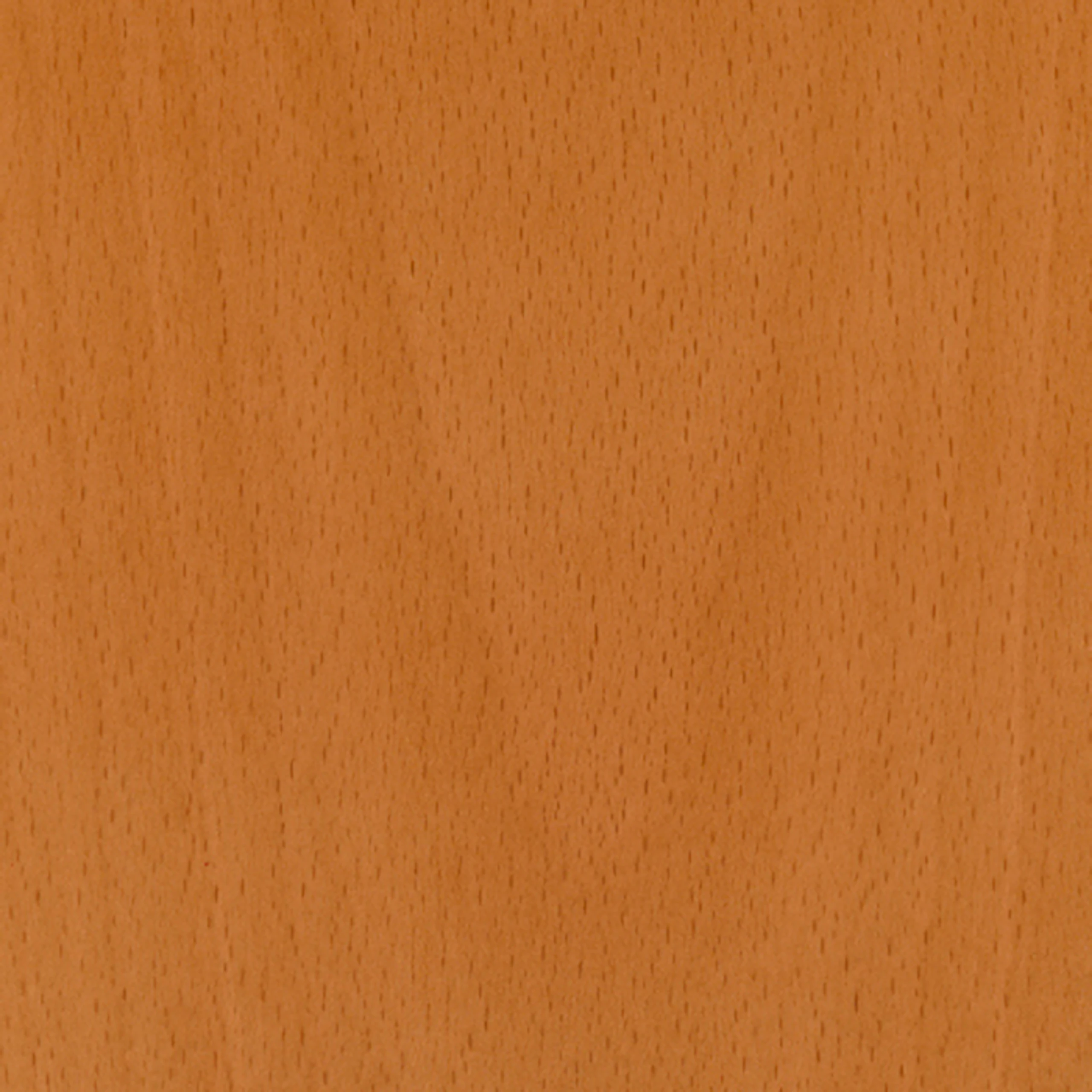 Natural Beech