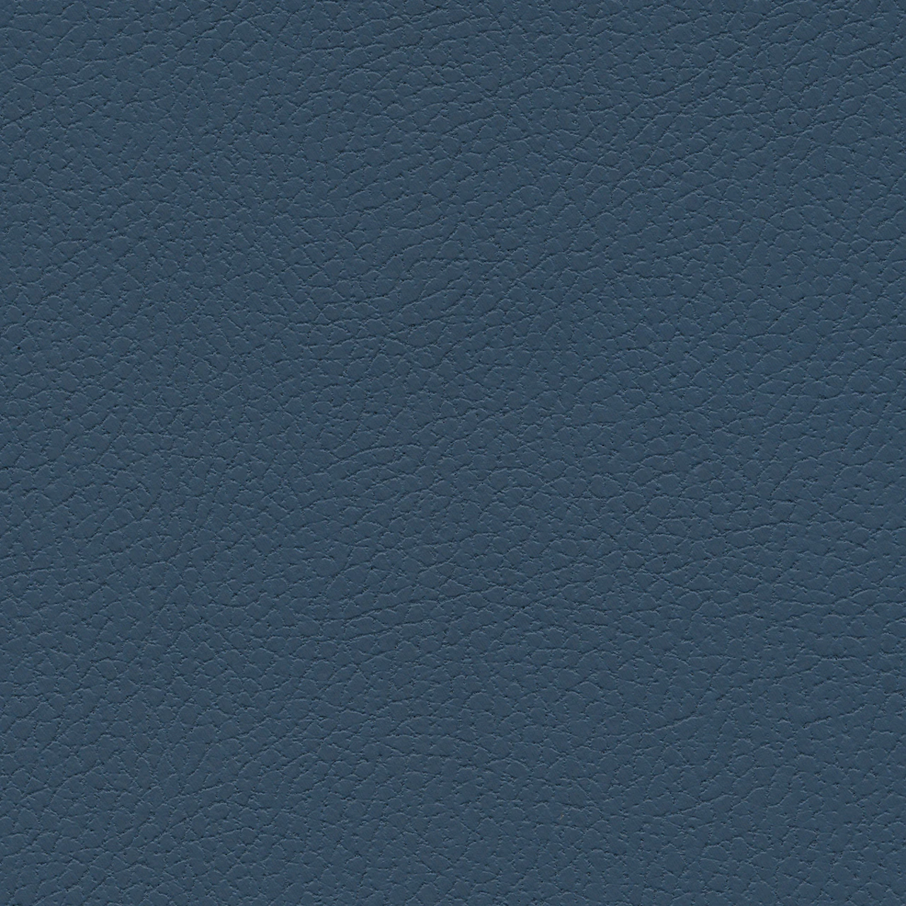 Blue Sea
