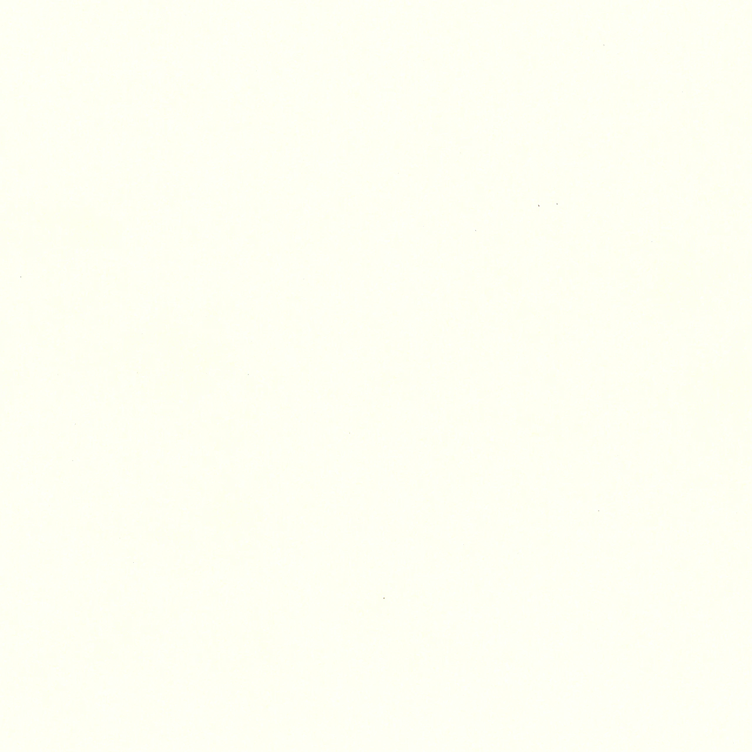 Cameo White