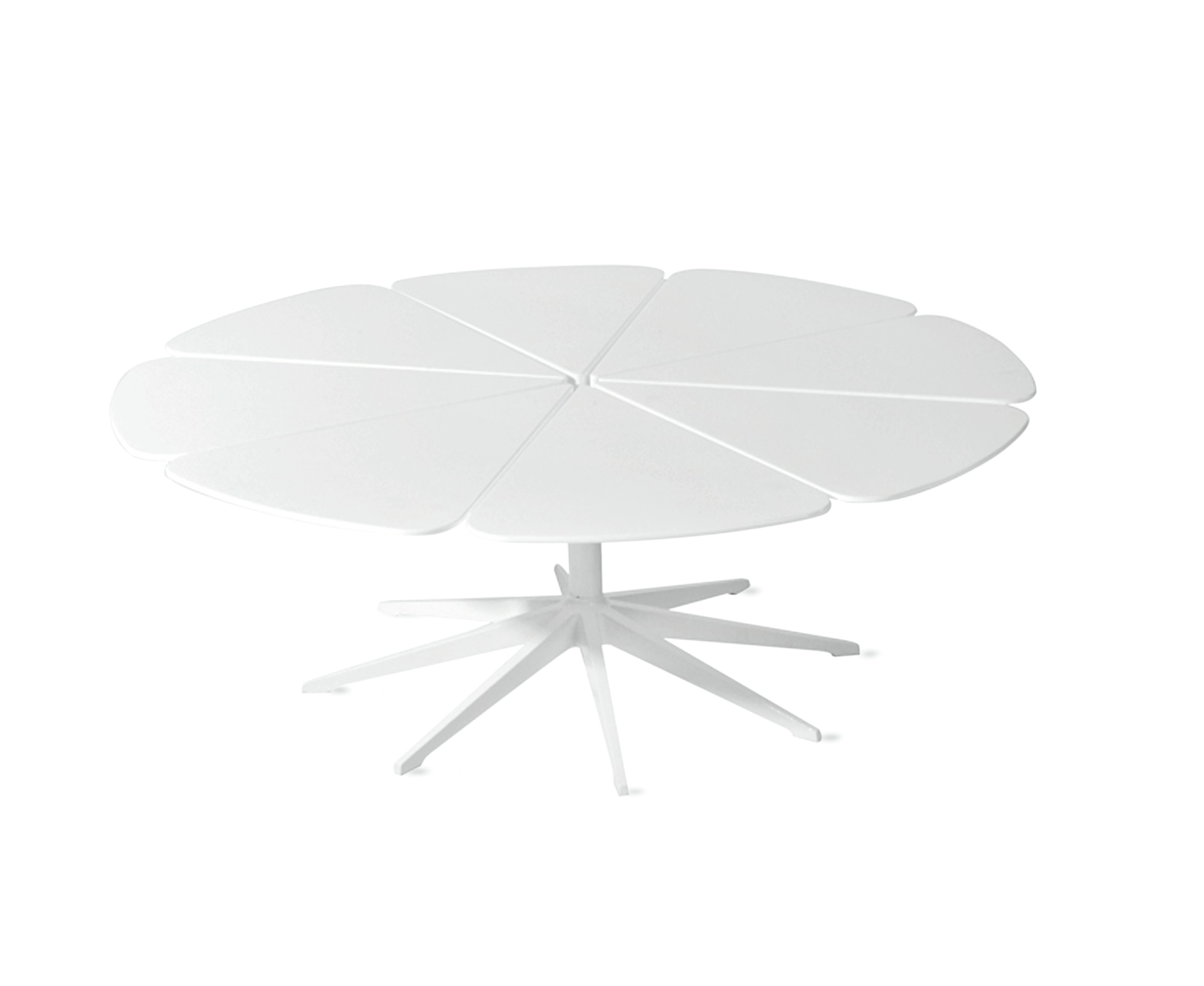 Petal Coffee Table