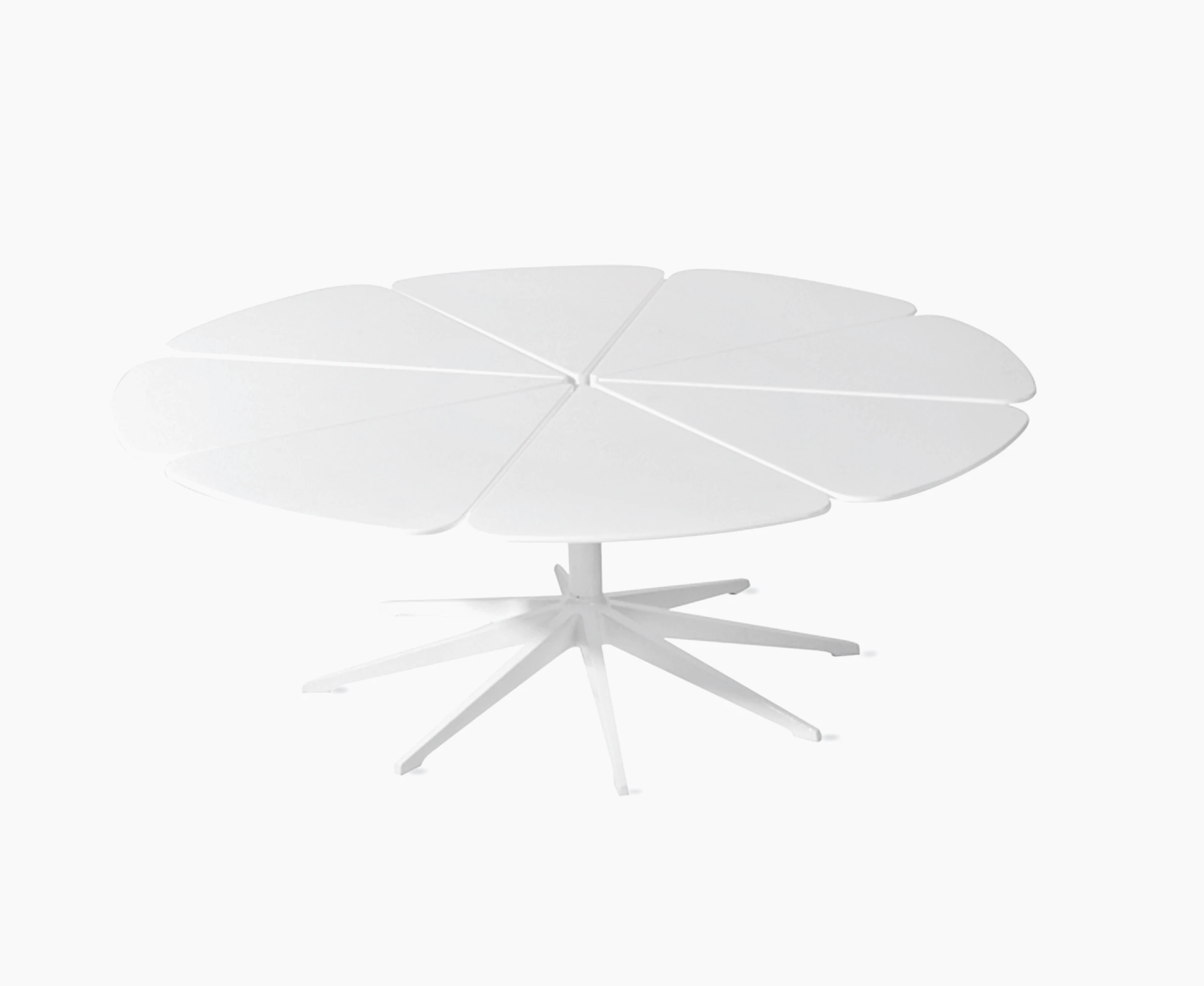 Petal Coffee Table