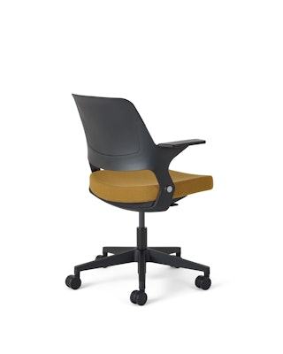 Ollo with Shell Back