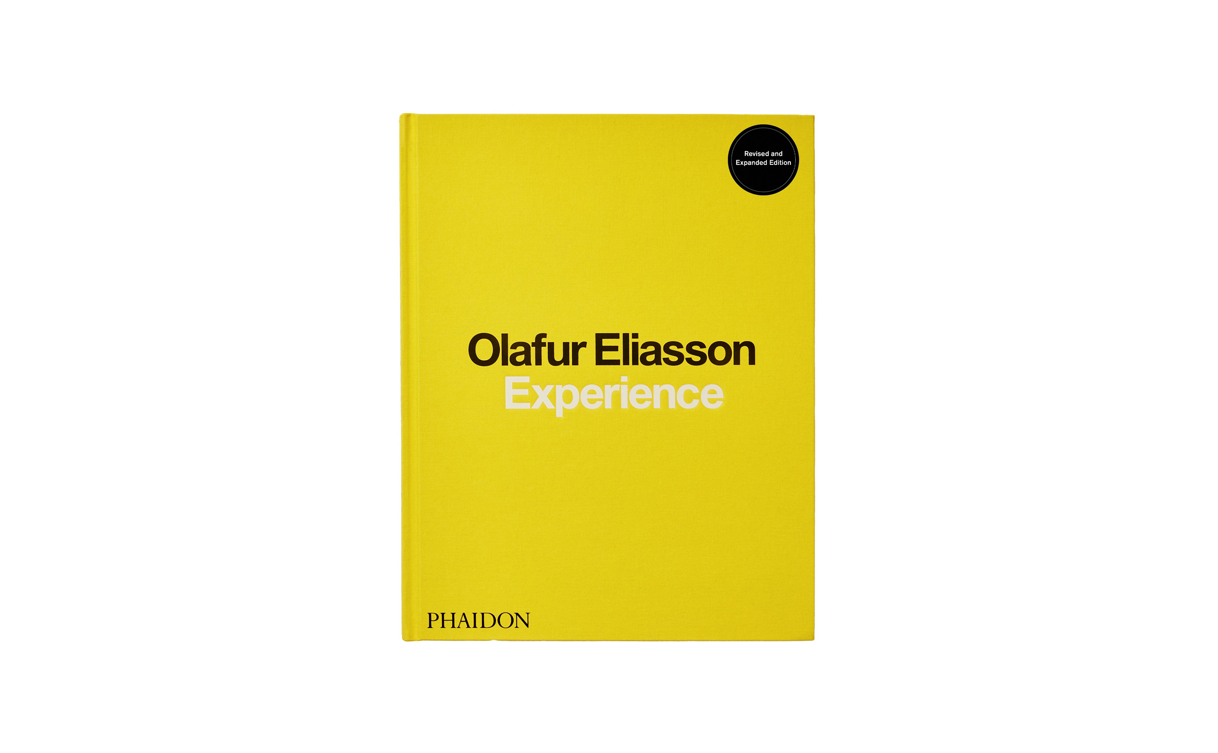 Olafur Eliasson: Experience