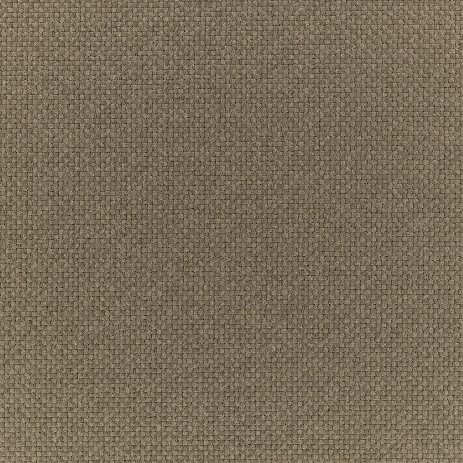 Raw Umber, 14A51