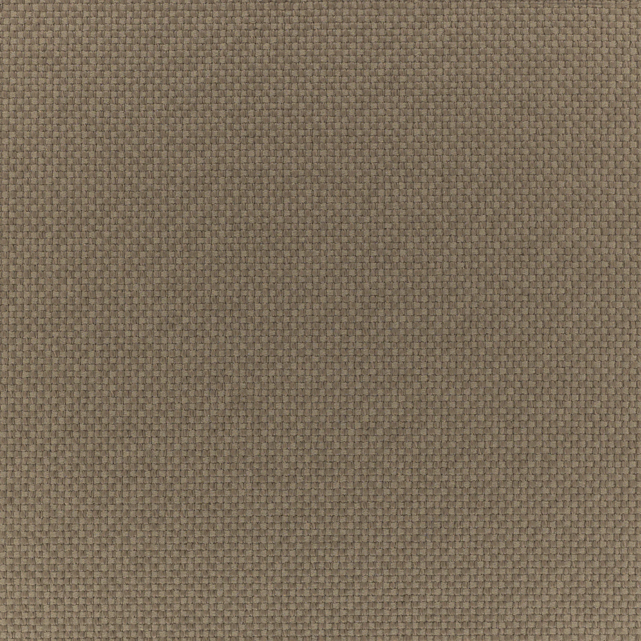 Raw Umber