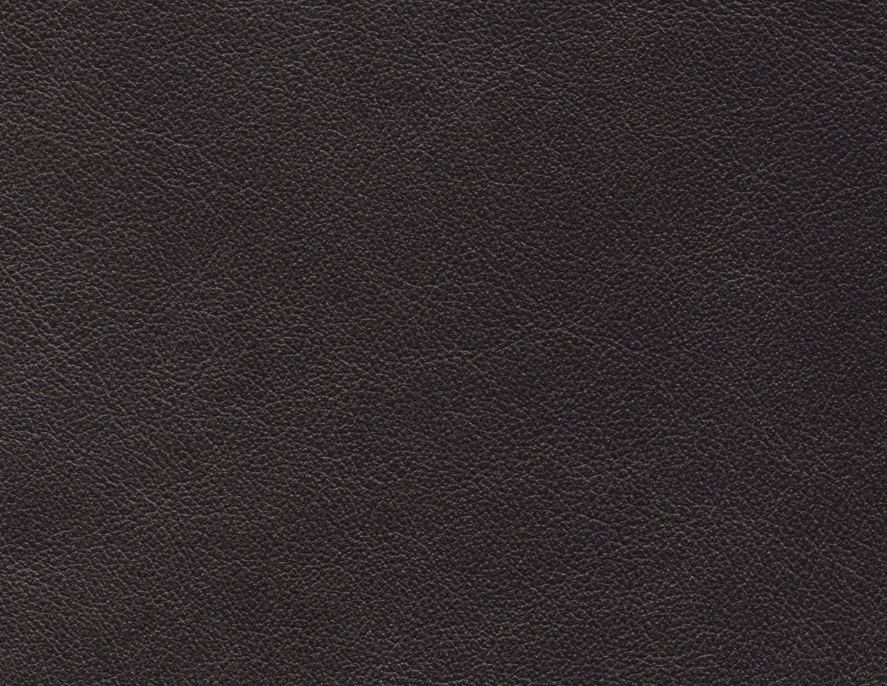 Grizzly-Black