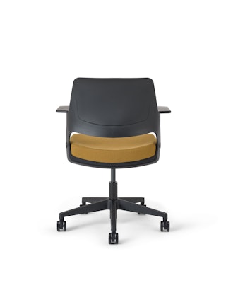 Ollo with Shell Back