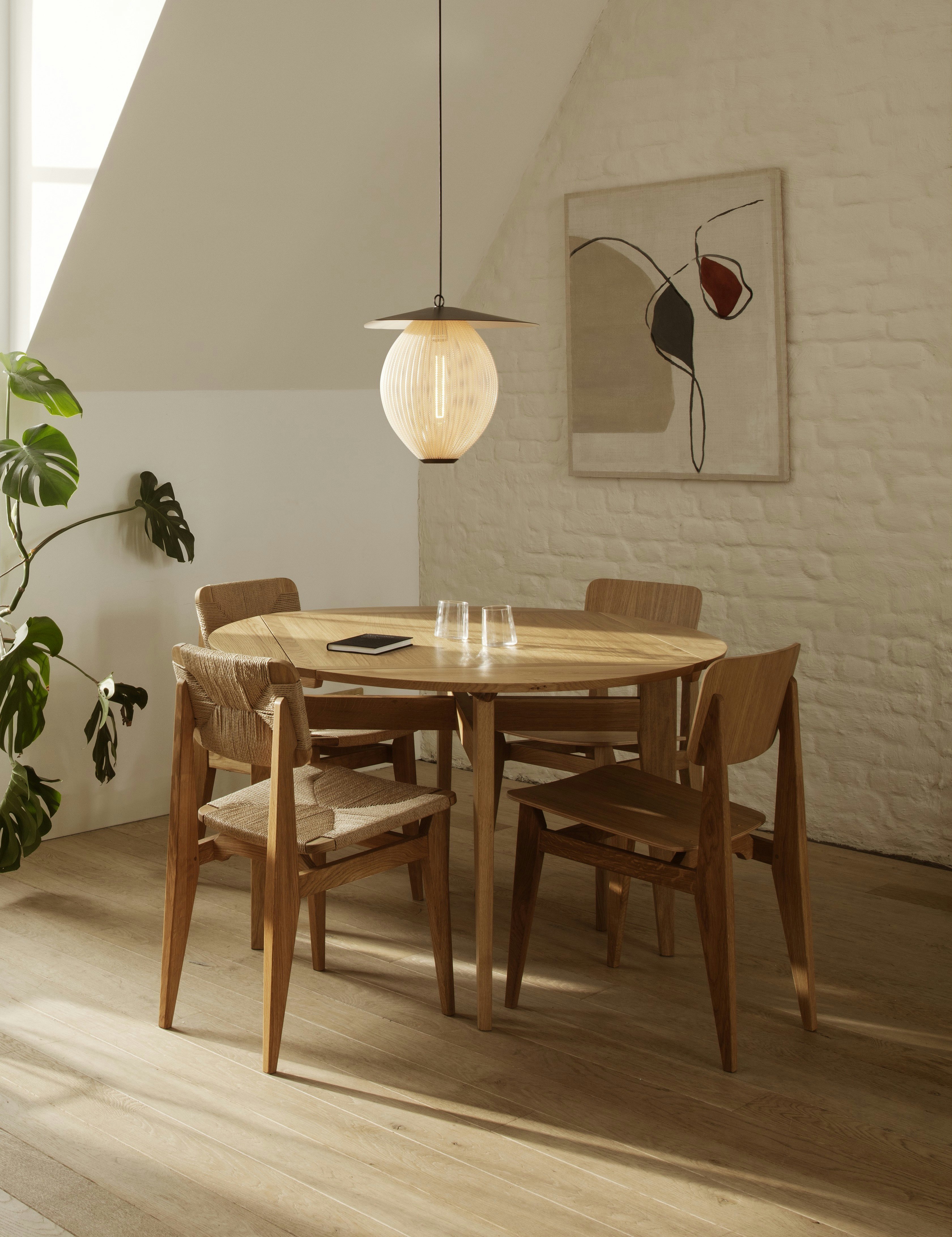 Satellite Outdoor Pendant