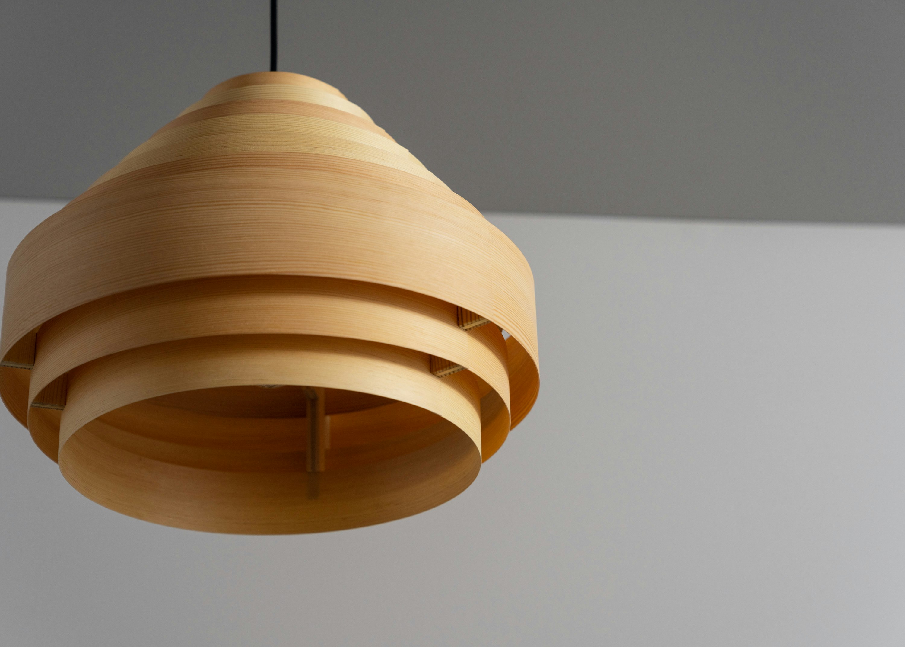 1001 Hans Pendant - Standard