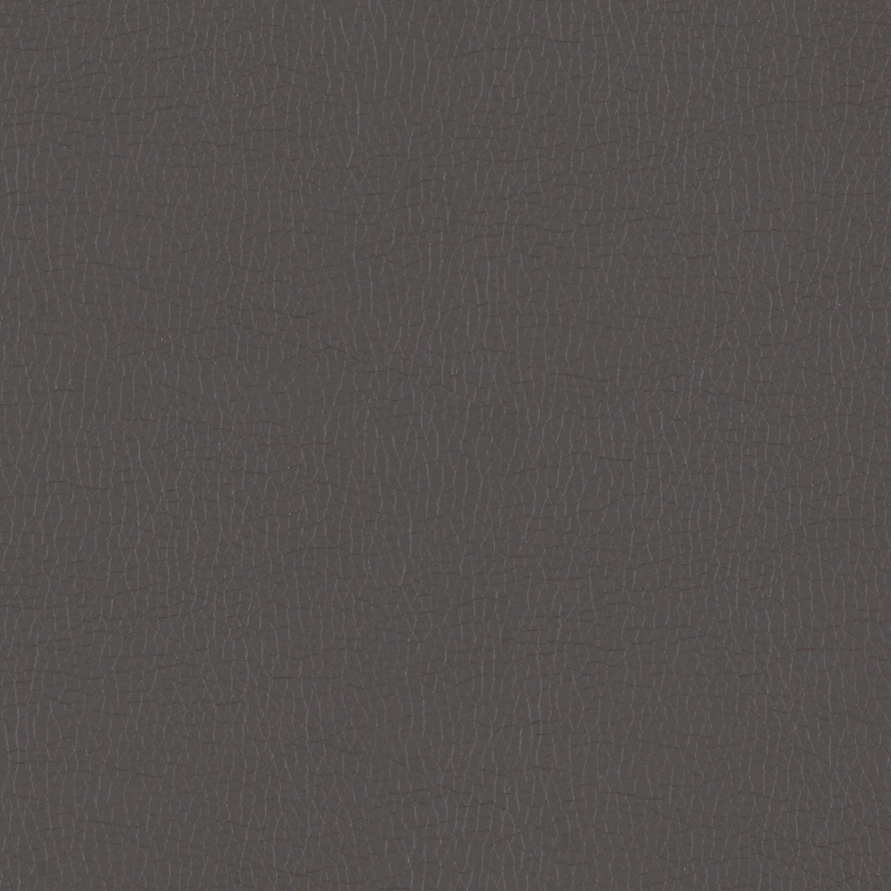 Iron
