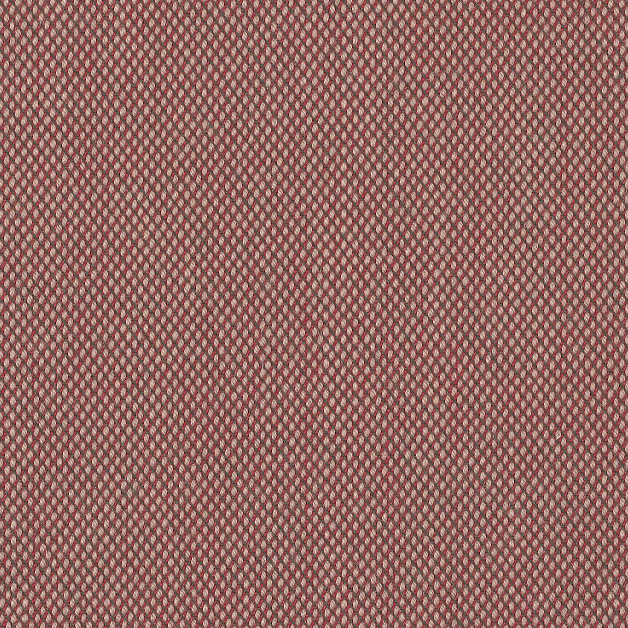 645