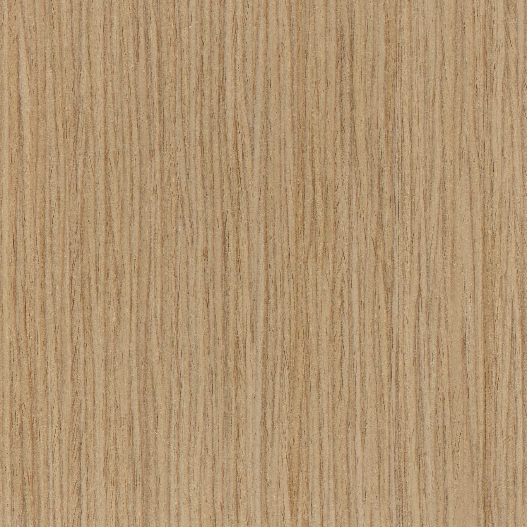 Clear Techwood (Central Palette), 658