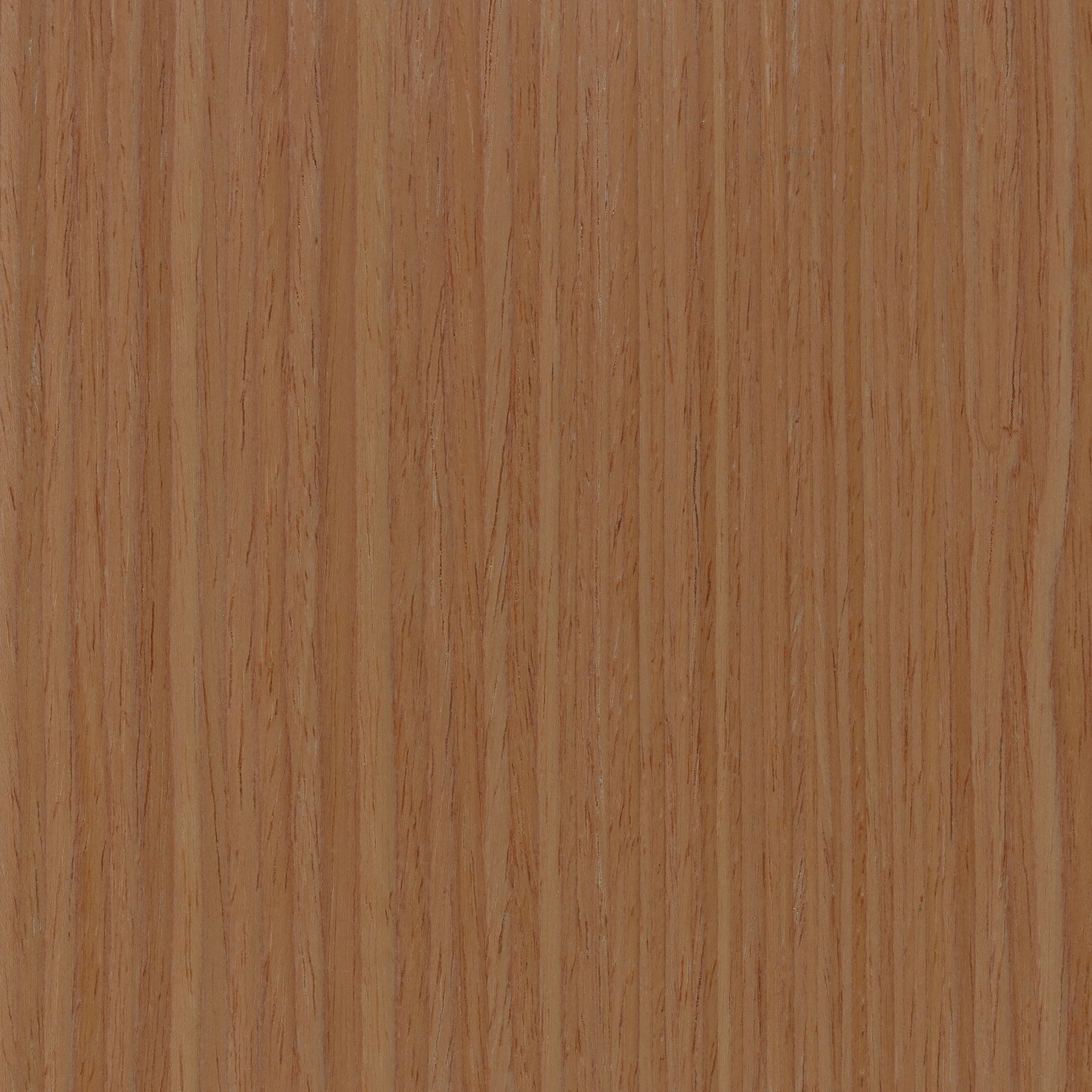 Central Palette - Veneer Light Cherry Techwood