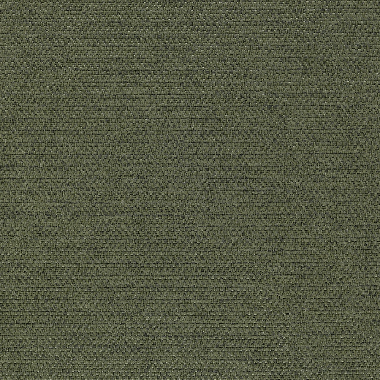 Pine