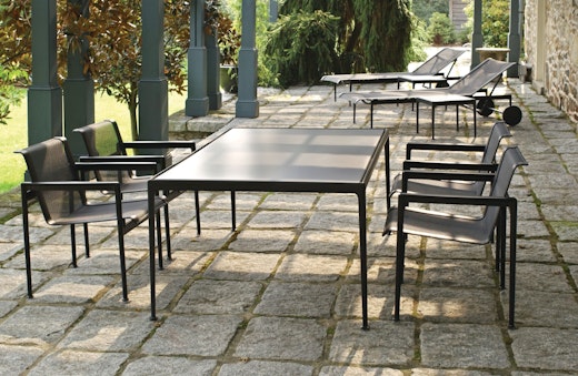 Black 1966 Collection 