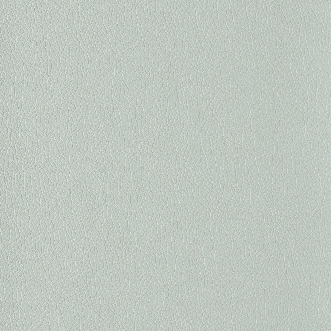 Polar Blue