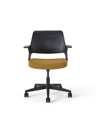 Ollo with Shell Back